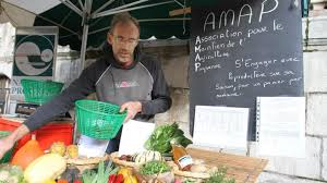 PRODUCTEUR ET VENTE DE LEGUMES BIO-LES JARDINS DE JOUQUEVIEL