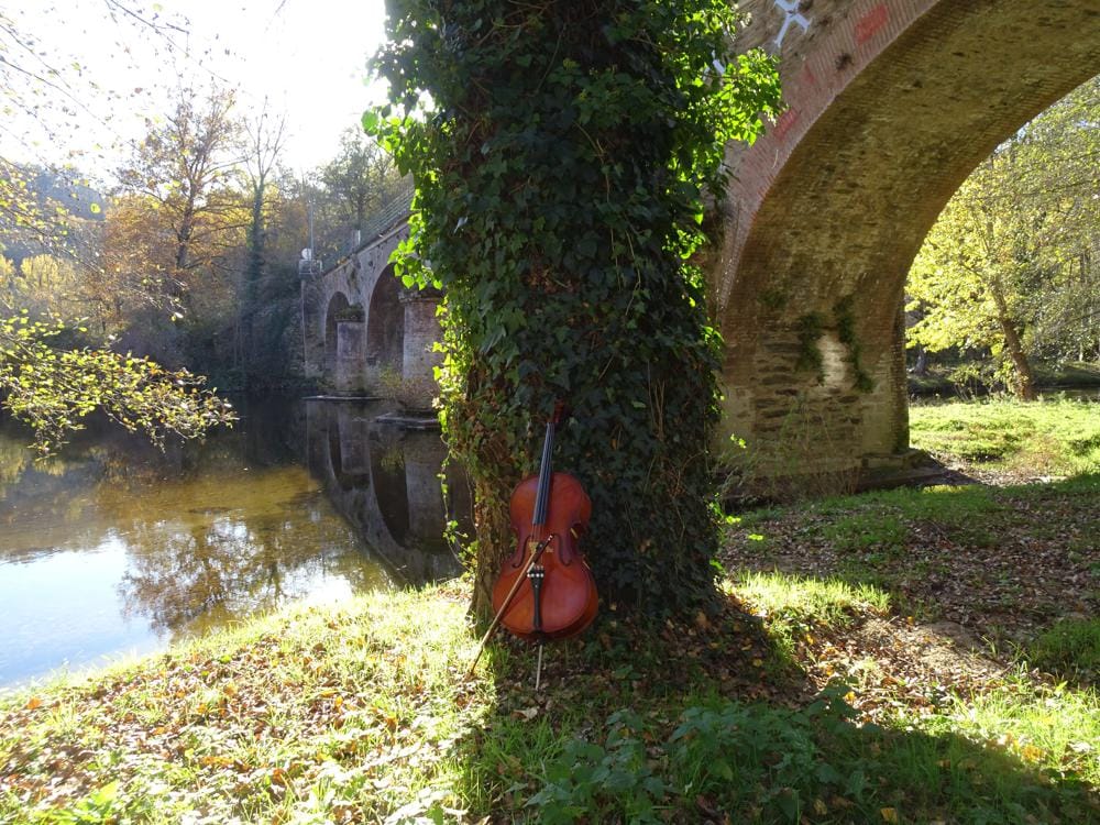 ECOLE DE VIOLONCELLE